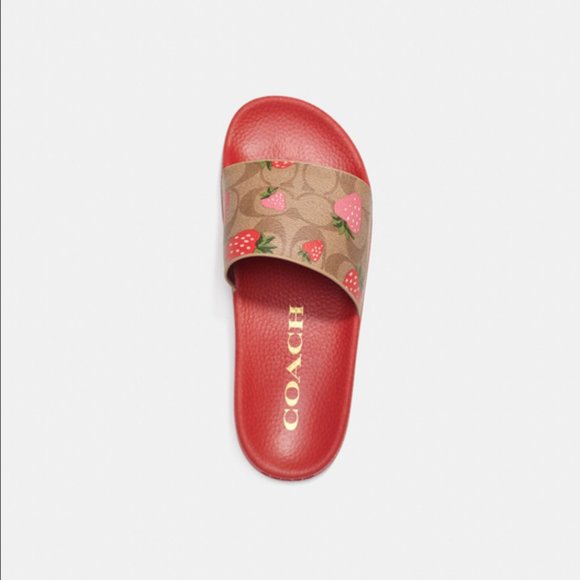 COACH | Uli Sport Slide In Signature Canvas With Wild Strawberry Print - CI122 - Picture 5 of 6